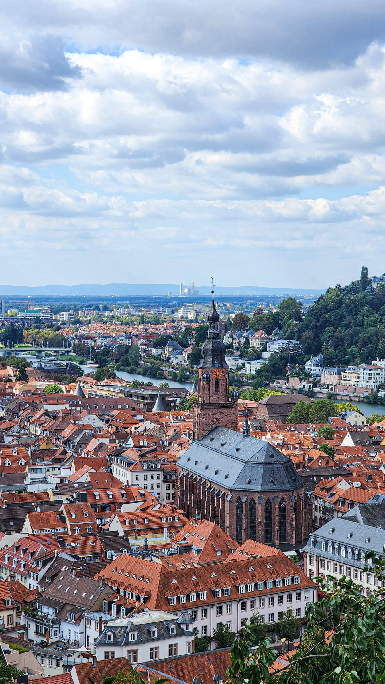 Die Heiliggeistkirche inmitten roter Dächer, von oben gesehen