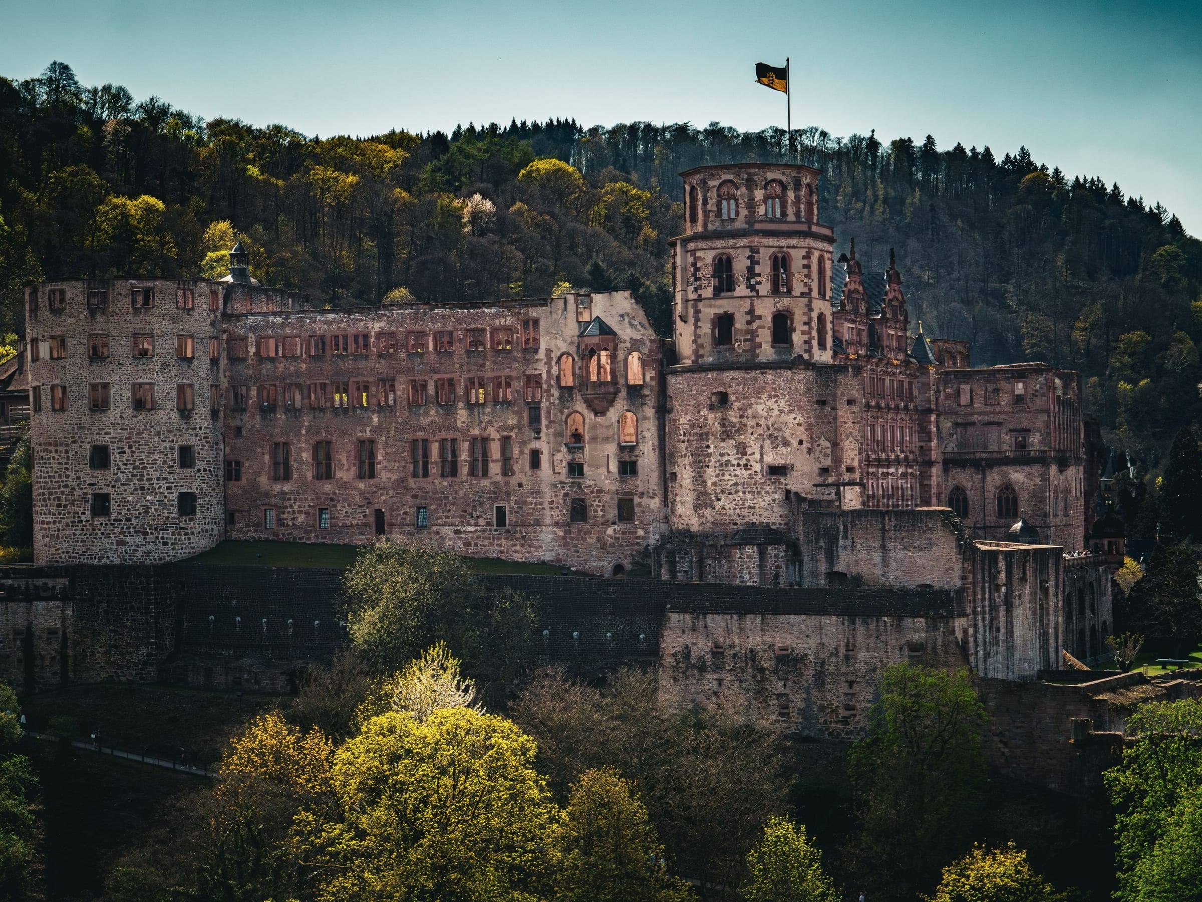 Heidelberger Schloss mit Glockenturm am bewaldeten Hang im Frühling
