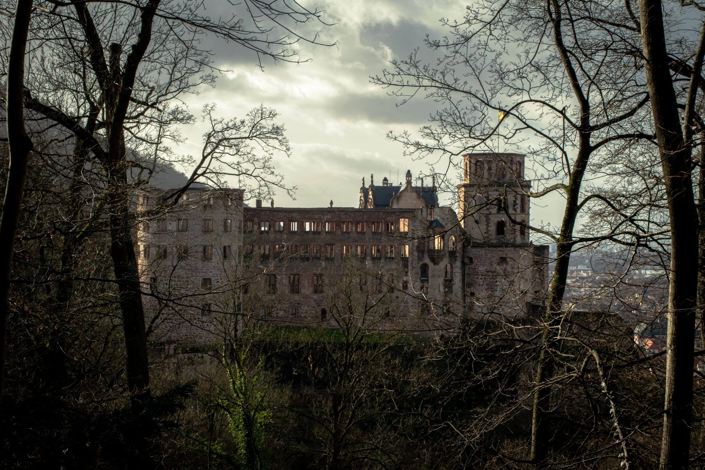 Das Schloss zwischen kahlen Bäumen an einem trüben Wintertag
